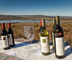 Lomond Wins International Trophy